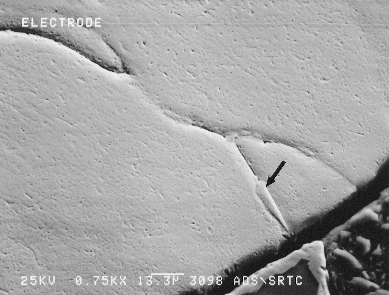 Figure 8. SEM photograph of the molybdenum electrode. EDX spectra indicated the presence of antimony on the grain boundaries. Nickel from the Inconel sheath was also present.