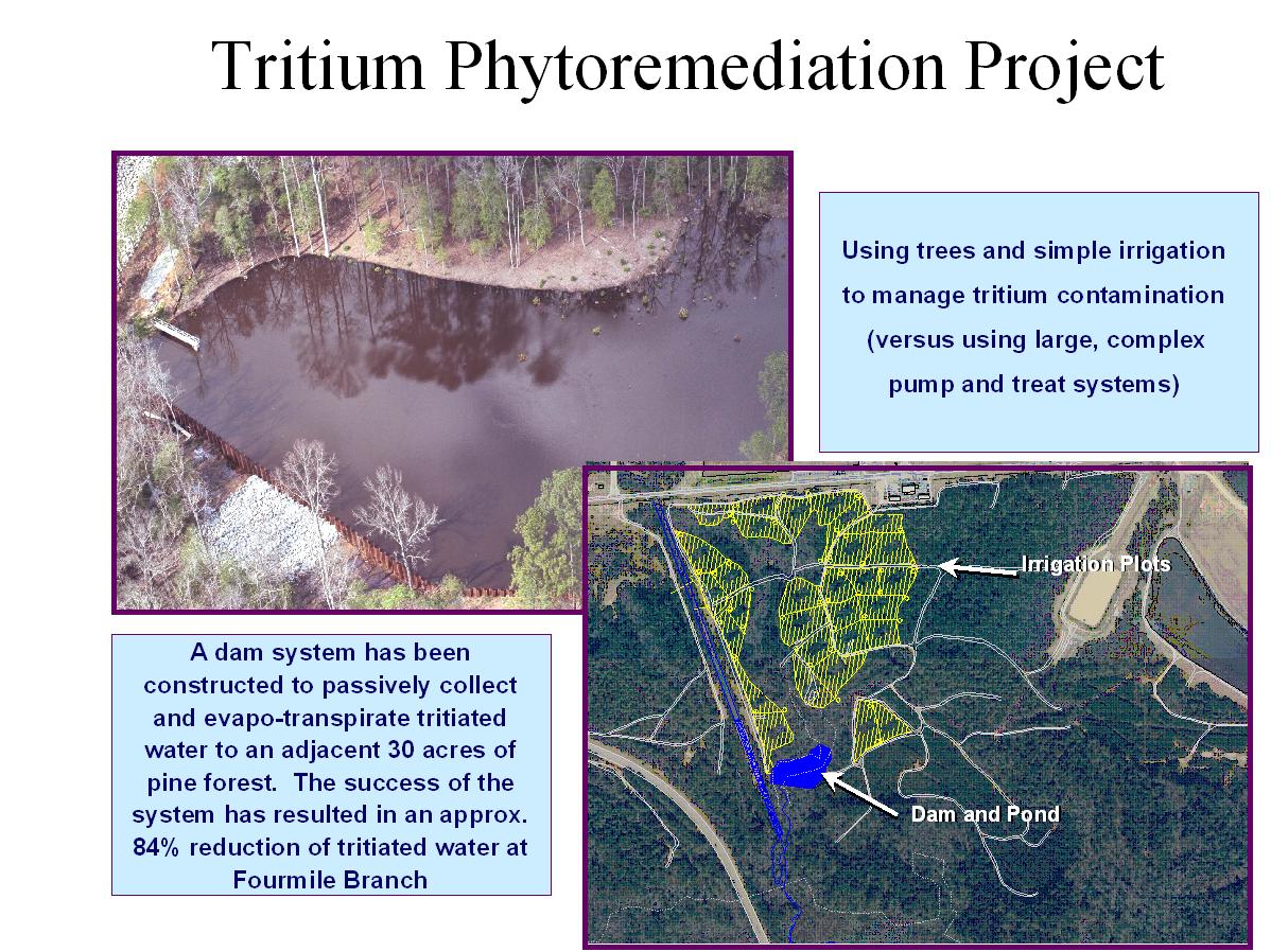 Figure 3. A combination dam and irrigation phytoremediation system is in place at the Burial Ground Complex, SRS.