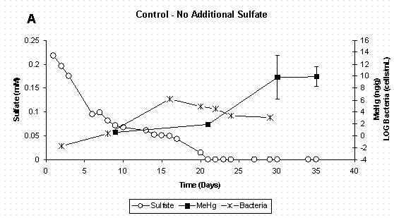 Figure 4 A. Dissolved Sulfate, Sediment Methylmercury, and Bacterial Populations in Sediment Slurry Reactors. Error Bars for Methylmercury Represent One Standard Deviation for Duplicate Samples. Error Bars for Bacteria Represent 95% Confidence Intervals.