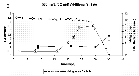 Figure 4 D. Dissolved Sulfate, Sediment Methylmercury, and  Bacterial Populations in Sediment Slurry Reactors. Error Bars for Methylmercury Represent One Standard Deviation for Duplicate Samples.  Error Bars for Bacteria Represent 95% Confidence Intervals.
