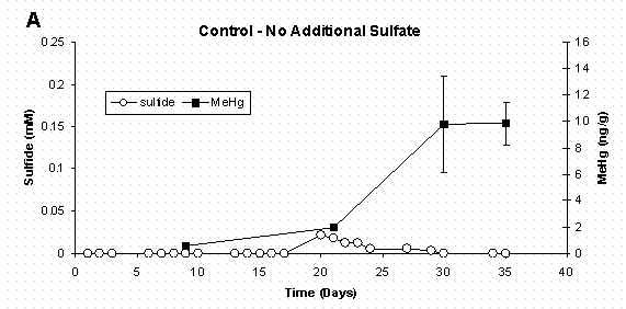 Figure 5 A  Dissolved Sulfide and Sediment Methylmercury Concentrations Error Bars for Methylmercury Represent One Standard Deviation for Duplicate Samples.