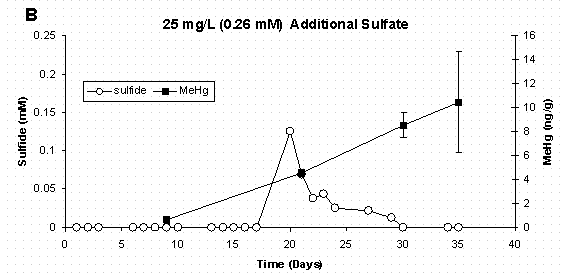 Figure 5 B  Dissolved Sulfide and Sediment Methylmercury Concentrations Error Bars for Methylmercury Represent One Standard Deviation for Duplicate Samples.