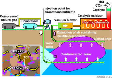 In Situ Bioremediation