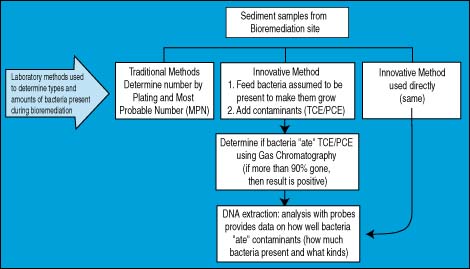 Organism Characterization for Bioremediation using DNA probes
