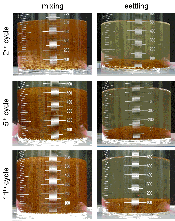 Figure 10: Mixing (Left) and Settling (Right) Solutions from the Second (Top),
Fifth (Middle), and Eleventh (Bottom) Cycle of the Cytec Superfloc(R) HX-400 Heel Test.