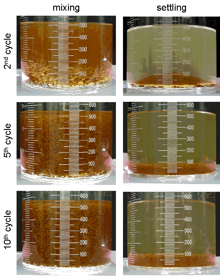 Figure 11: Mixing (Left) and Settling (Right) Solutions from the Second (Top), Fifth (Middle), and Tenth (Bottom) Cycle of the Ciba Alclar(R) 600 Heel Test.