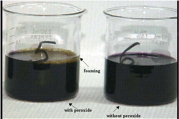 Figure 4-48 Photograph of Salt Solutions in Glass Beakers Containing Recently Added Permanganate with Peroxide as a Reductant (Note Foaming, at Left) and Without Added Peroxide (at Right).
