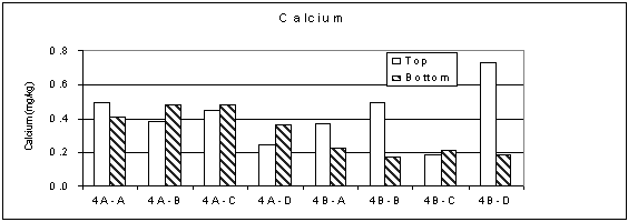 Figure 6. Calcium Concentrations in the Hydrosoil of the A-01 Wetland Treatment System, September 2001