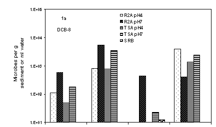Figure 1. Heterotrophic Microbial Density of Water and Sediment from DCB-8 (1a)