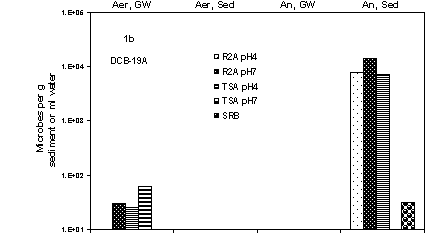 Figure 1. Heterotrophic Microbial Density of Water and Sediment from DCB-19A (1b)