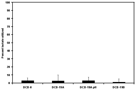 Figure 8. Lactate Utilization in Microcosms. Percent lactate utilized after 4 months incubation in microcosms was minimal, however no significant differences were evident between treatments.