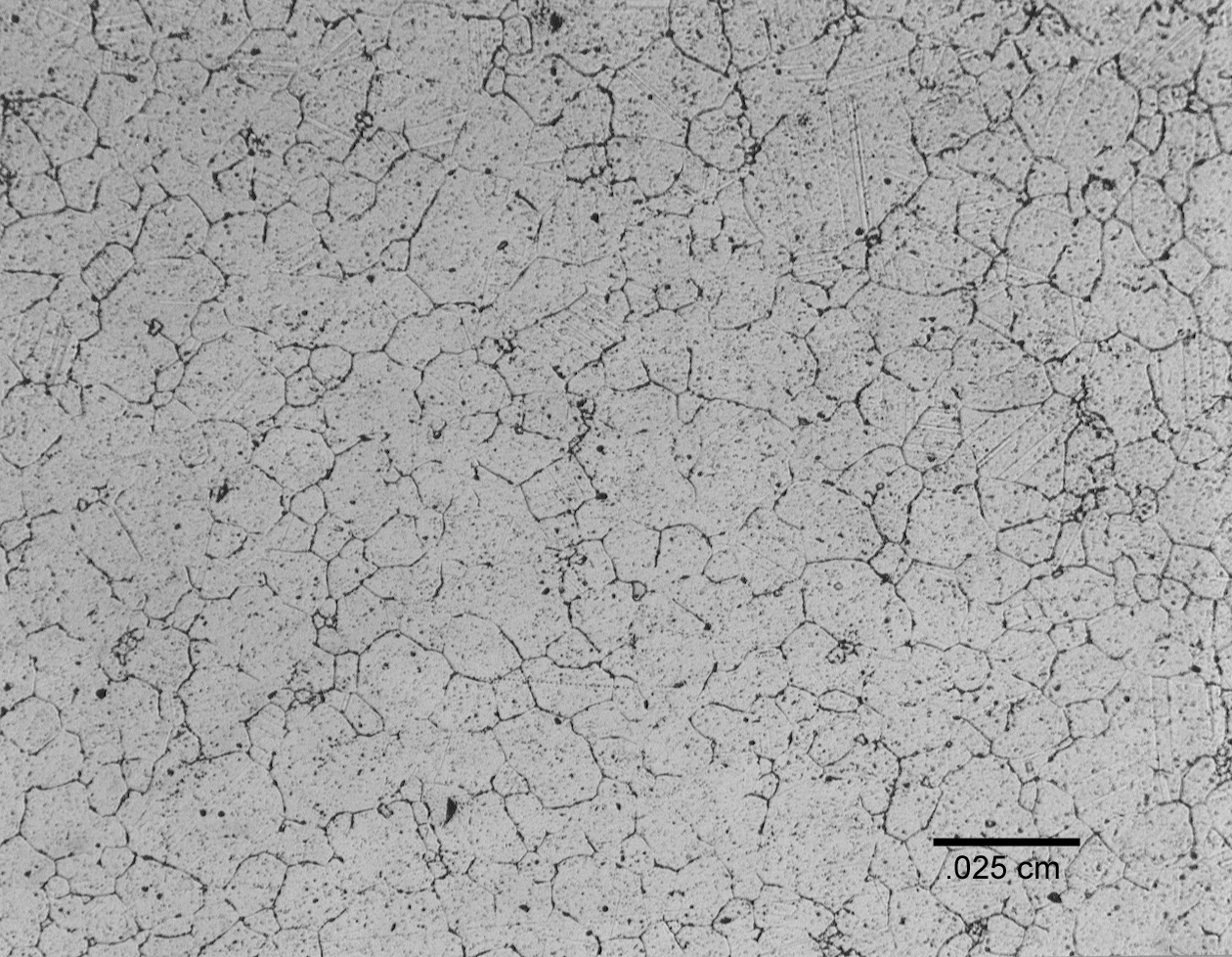 Figure 10. Photomicrograph of 690 coupon exposed at approximately 900°C for 5 months