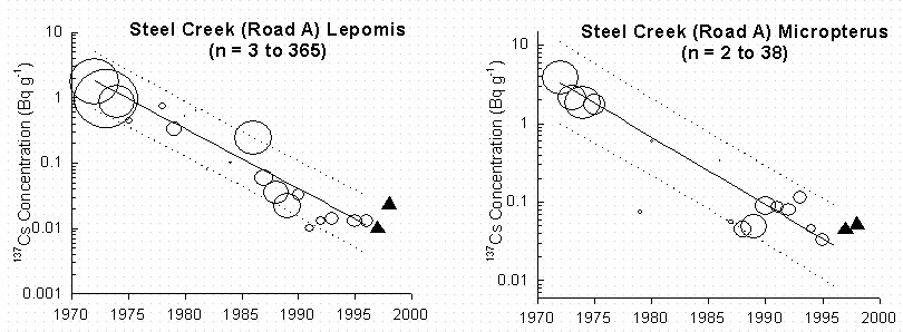 Figure 1A. Changes in 137Cs in whole fish regressed against time for fishes at the Savannah River Site.