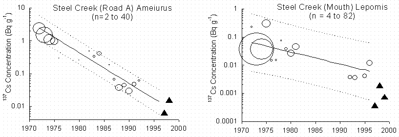 Figure 1B. Changes in 137Cs in whole fish regressed against time for fishes at the Savannah River Site.