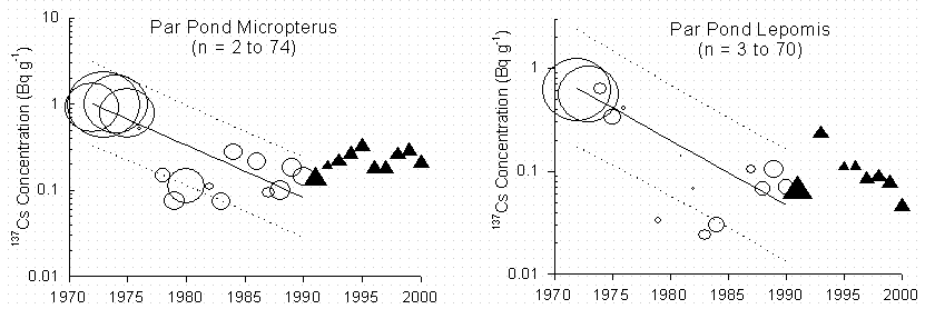 Figure 1C. Changes in 137Cs in whole fish regressed against time for fishes at the Savannah River Site.