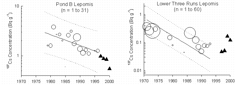 Figure 1D. Changes in 137Cs in whole fish regressed against time for fishes at the Savannah River Site.