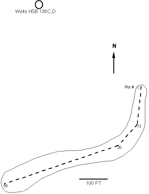 Figure 3. H-Area Tree-Kill Vegetation Sampling Transect.