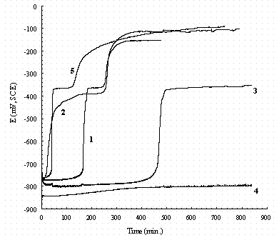 Figure 21. The effect of NO2- and NO3- on the OCP-time of pure iron. Legend: 1 = 0.01M NaNO2; 2 = 0.1M NaNO2; 3 = 0.1M NaNO3; 4 = buffer only; 5 = 0.1M NaNO2 + 0.1M NaNO3; all solutions contain buffer. 