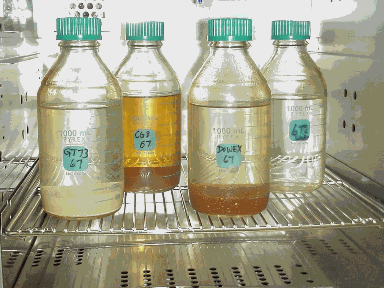 Figure 1.  Experimental Setup at 70 Degrees C with GT73, CG8, and Dowex21K Resins and a Control with Water Only.