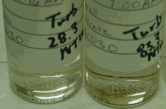 Figure 11. Filtrate Samples with High Turbidity