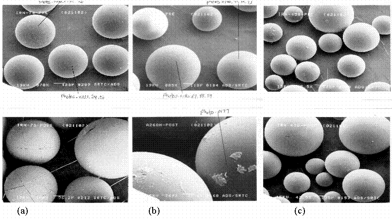 Figure 2. SEM Micrographs of the Selected Resins Before and After Exposure to the Alkaline Simulated Salt Solution.