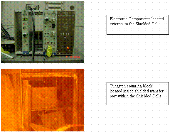 Figure 1. Photographs of In-Cell Gamma Monitor